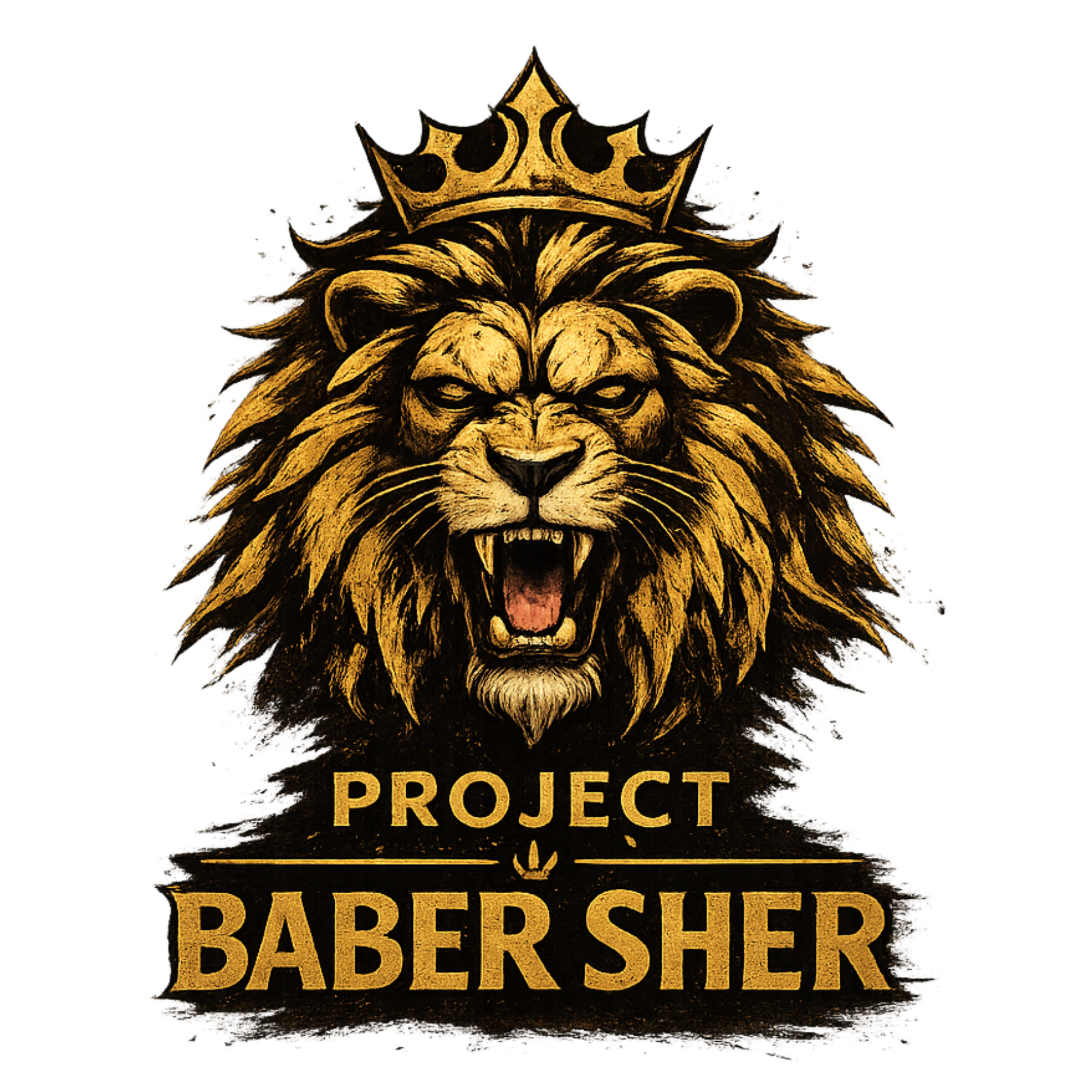 Project Baber Sher